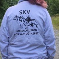 sweatshirtjacka utan huva